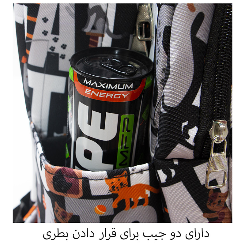کوله پشتی پسرانه توریث مدل AA-150003