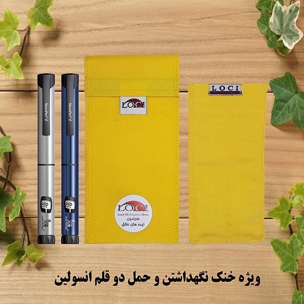 کیف خنک نگهدارنده انسولین لوک آی مدل 2 قلم