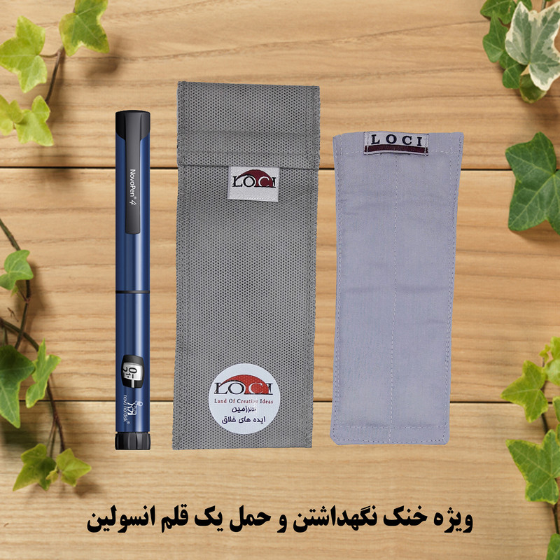 کیف خنک نگهدارنده انسولین لوک آی مدل 1 قلم کد 00 مجموعه 2 عددی