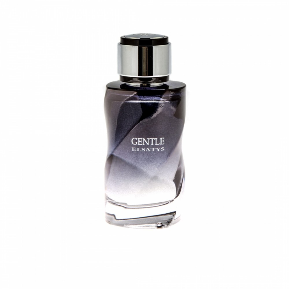 عطر و ادکلن مردانه ریان تردیشن جنتل الساتیس ادوپرفیوم Reyane Tradition Gentle Elsatys EdP For Men