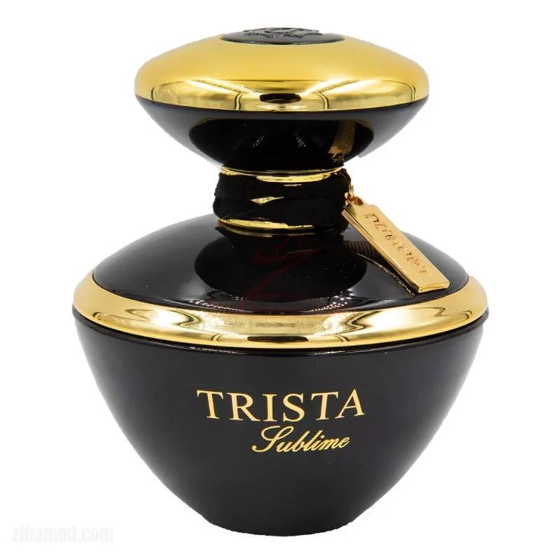 عطر ادکلن دمونت پاریس تریستا سابلایم dumont paris trista sublime