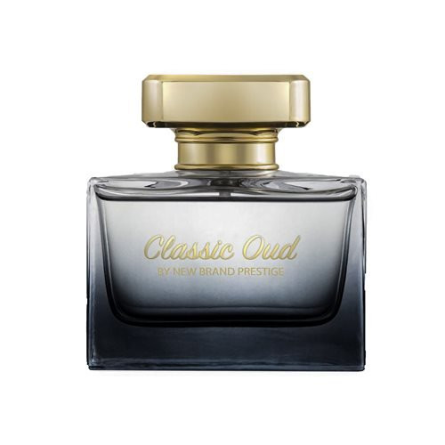 ادوپرفیوم زنانه نیو برند مدل کلاسیک عود حجم 100 میل New Brand Classic Oud EDP For Women