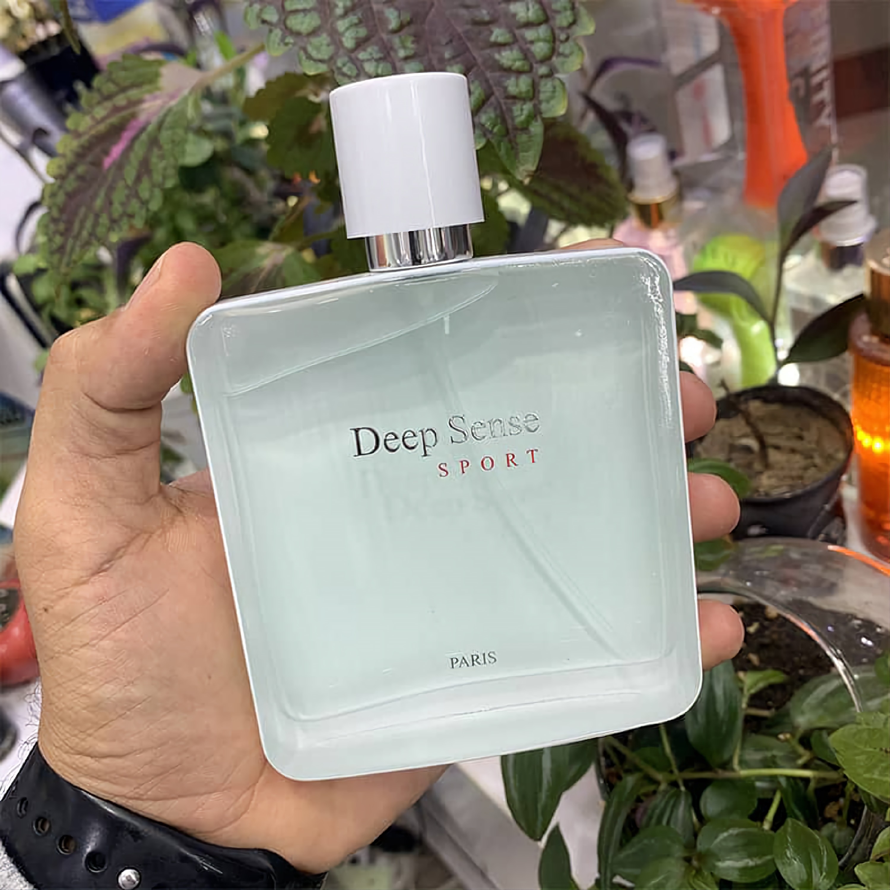 ادکلن دیپ سنس اسپرت عطر Deep Sense Sport(رایحه مشابه لاگوست سفید)