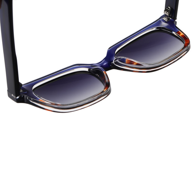 عینک آفتابی ویفرر (Wayfarer) آلبرت وگ مدل S31105-C4 Polarized Avantgarde Visionary