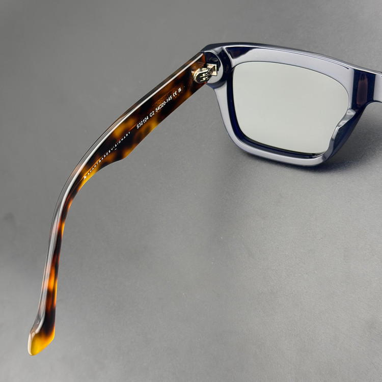 عینک آفتابی ویفرر (Wayfarer) آلبرت وگ مدل S32104C2 Acetate Avantgarde Visionary