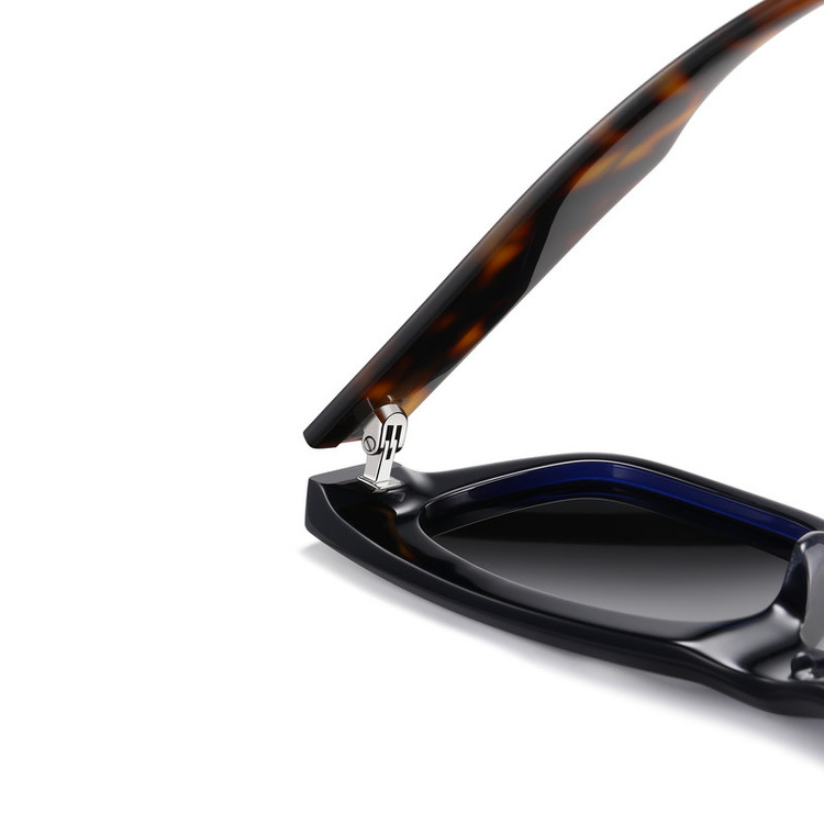عینک آفتابی ویفرر (Wayfarer) آلبرت وگ مدل S32104C2 Acetate Avantgarde Visionary