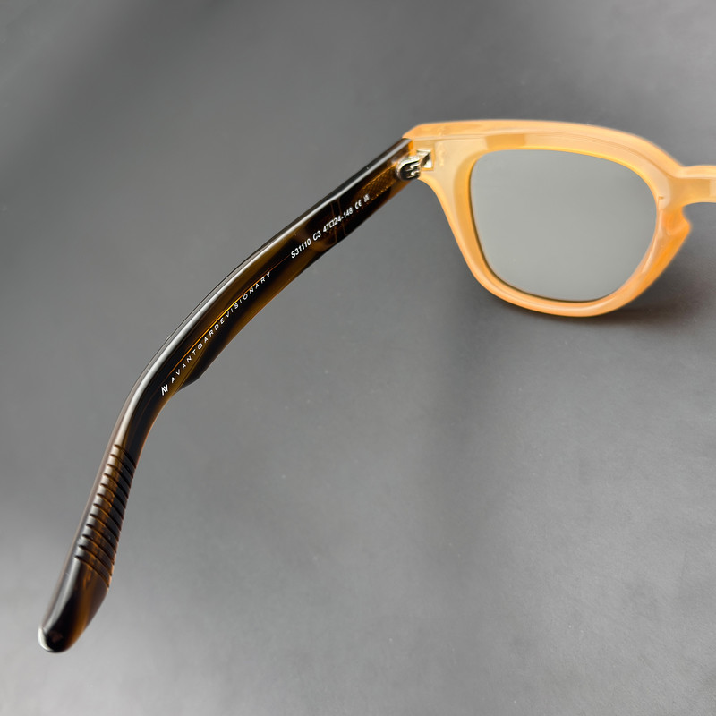 عینک آفتابی آلبرت وگ مدل S31110C3 Acetate Avantgarde Visionary