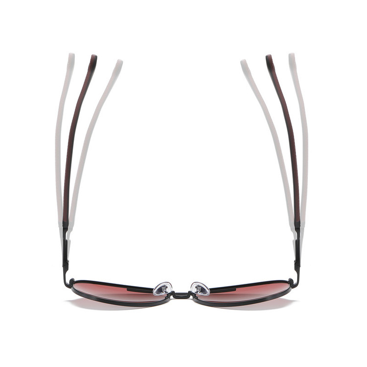 عینک آفتابی مردانه خلبانی آلبرت وگ مدل 6319C04-P141 Polarized Avantgarde Visionary