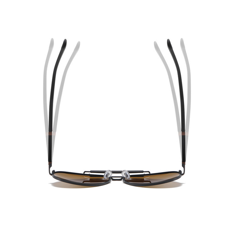 عینک آفتابی خلبانی (Aviator) مردانه آلبرت وگ مدل 6315C105-P130 Avantgarde Visionary