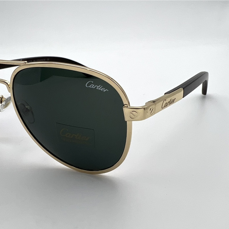 عینک آفتابی مردانه کد ct2851