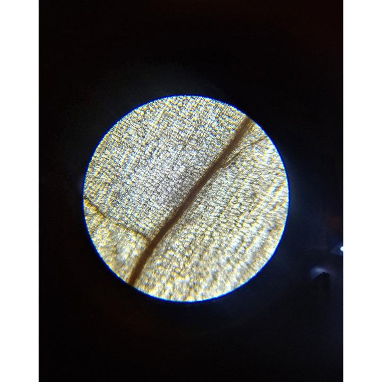 میکروسکوپ مدل Amscope-640X NEW