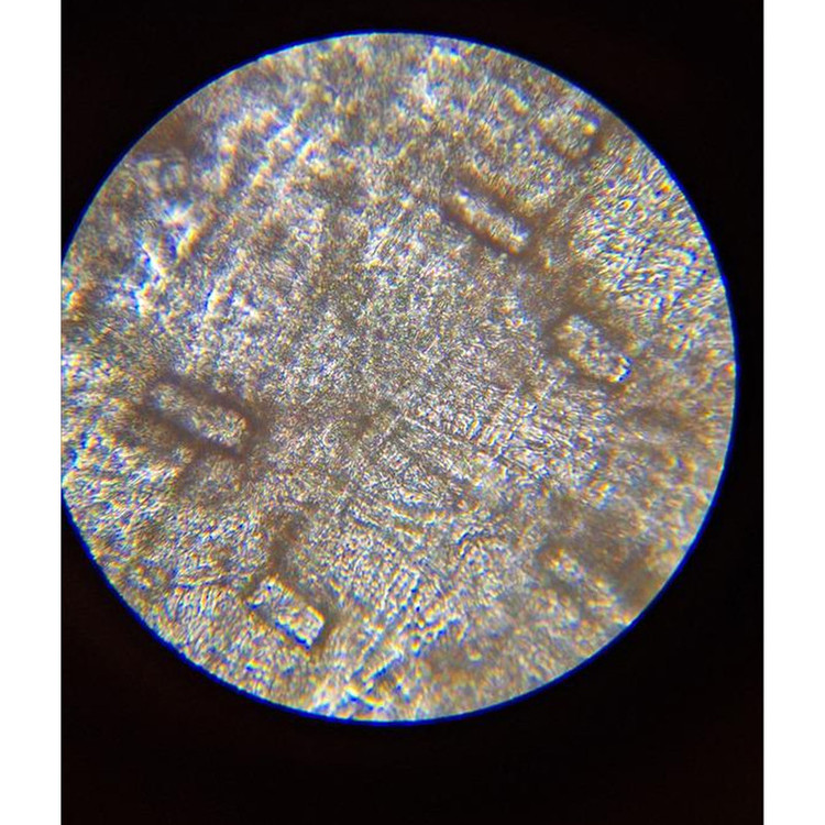میکروسکوپ مدل Amscope-640X NEW