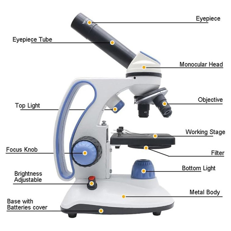 میکروسکوپ مدل BM-113 RT