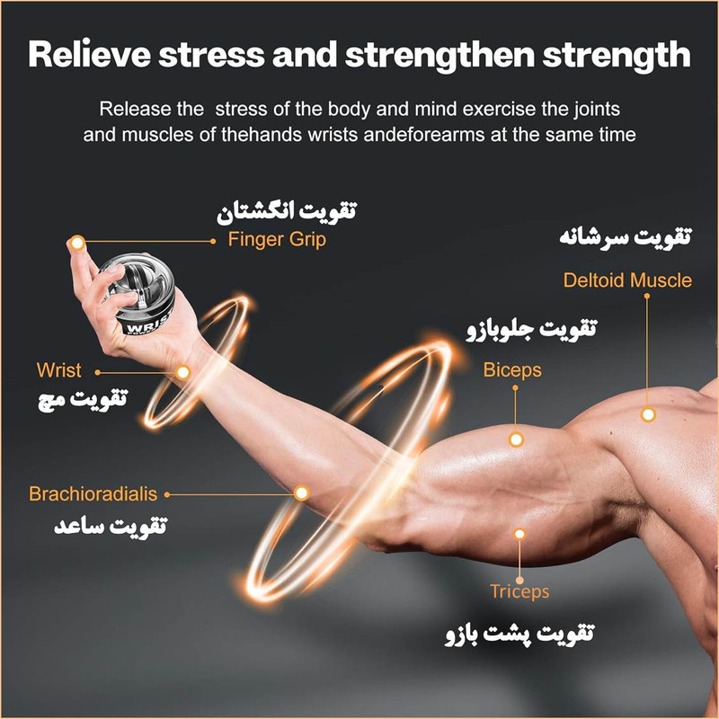 توپ ورزشی ژیروبال مدل تقویت عضلات دست