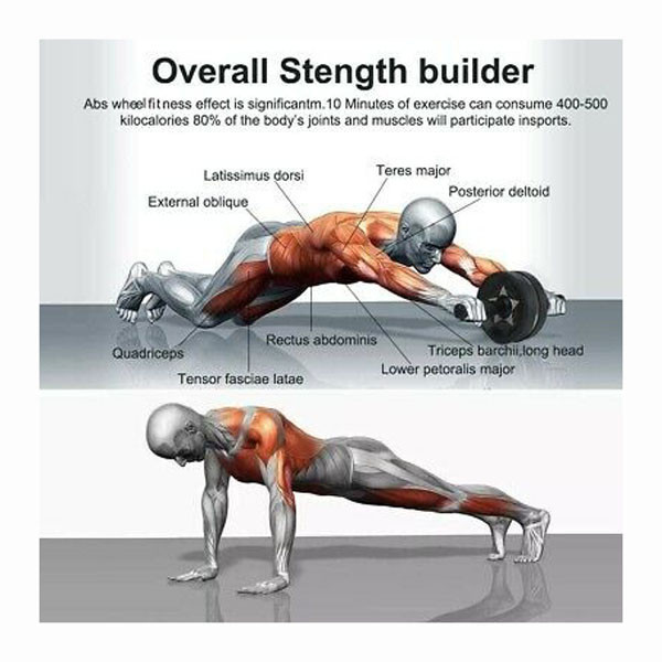چرخ تمرین شکم مدل AB ROLLER