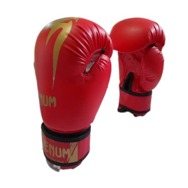 دستکش بوکس مدل PRO GEAR 2020