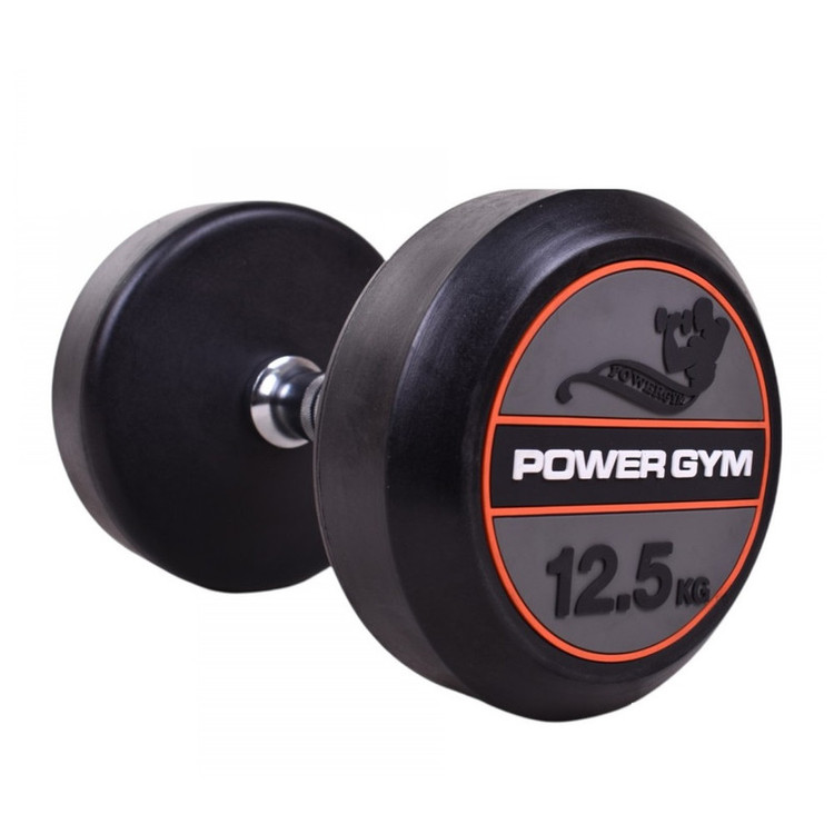 دمبل پاورجیم مدل 2023 وزن دوازده و نیم کیلوگرم بسته دو عددی