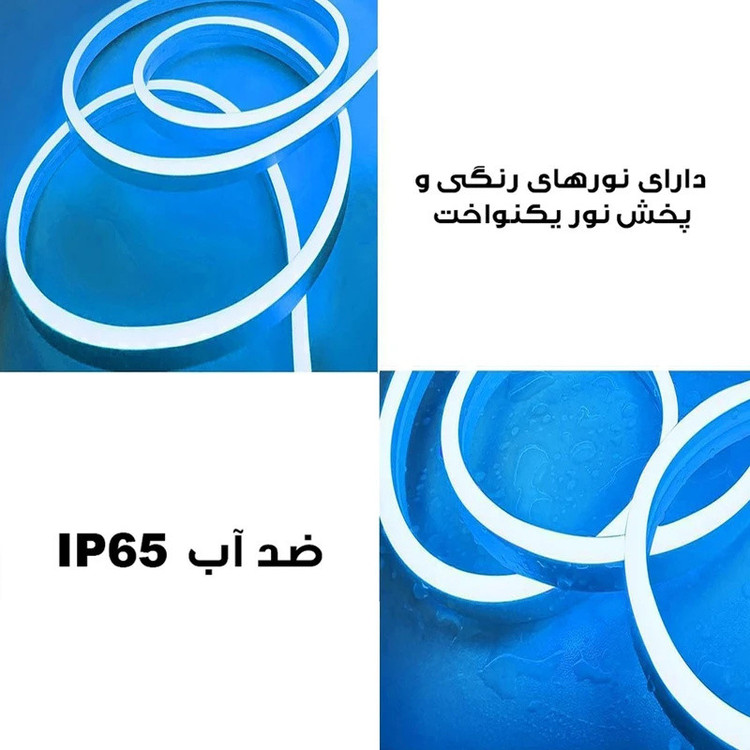 ریسه نئون لومیز مدل APP-5M RGB طول ۵ متر به همراه آداپتور