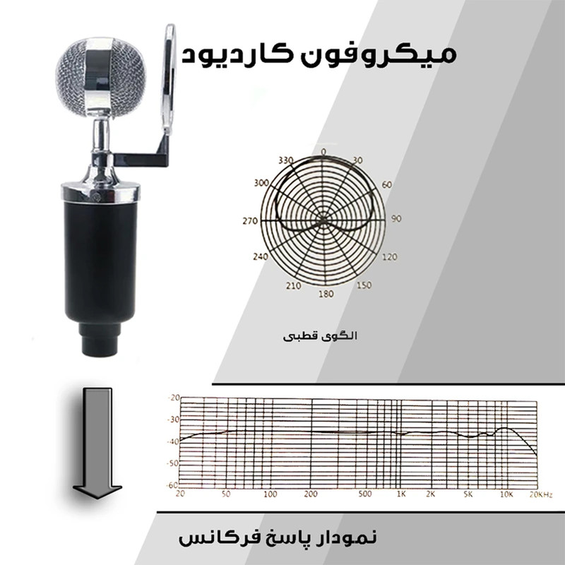 میکروفن کندانسر مدل RETRO-CIRCLE