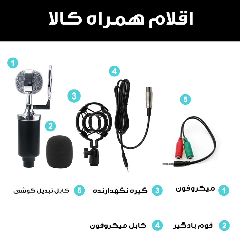 میکروفن کندانسر مدل RETRO-CIRCLE