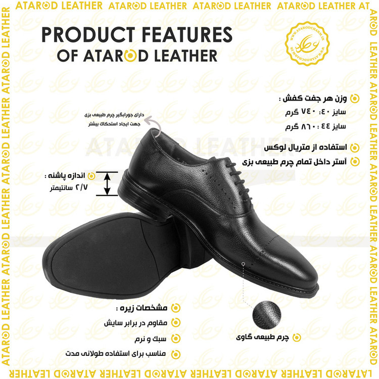 کفش مردانه چرم عطارد مدل چرم طبیعی کد SH249