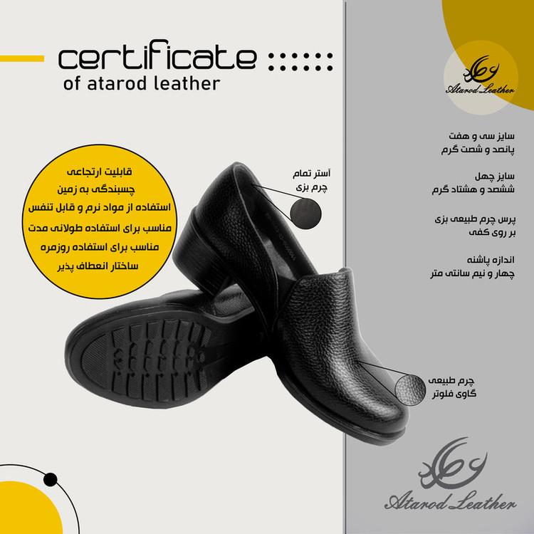 کفش پاشنهدار زنانه چرم عطارد مدل SH170