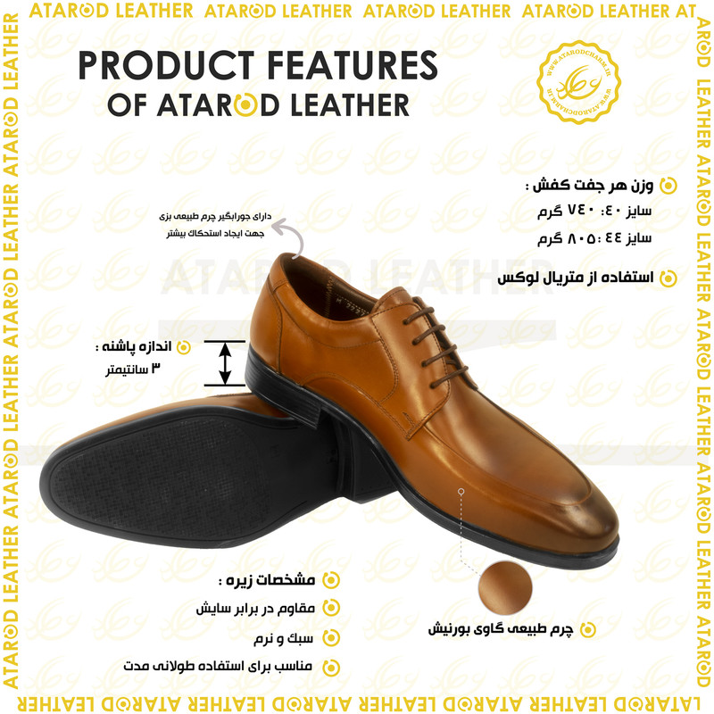 کفش مردانه چرم عطارد مدل چرم طبیعی کد SH256