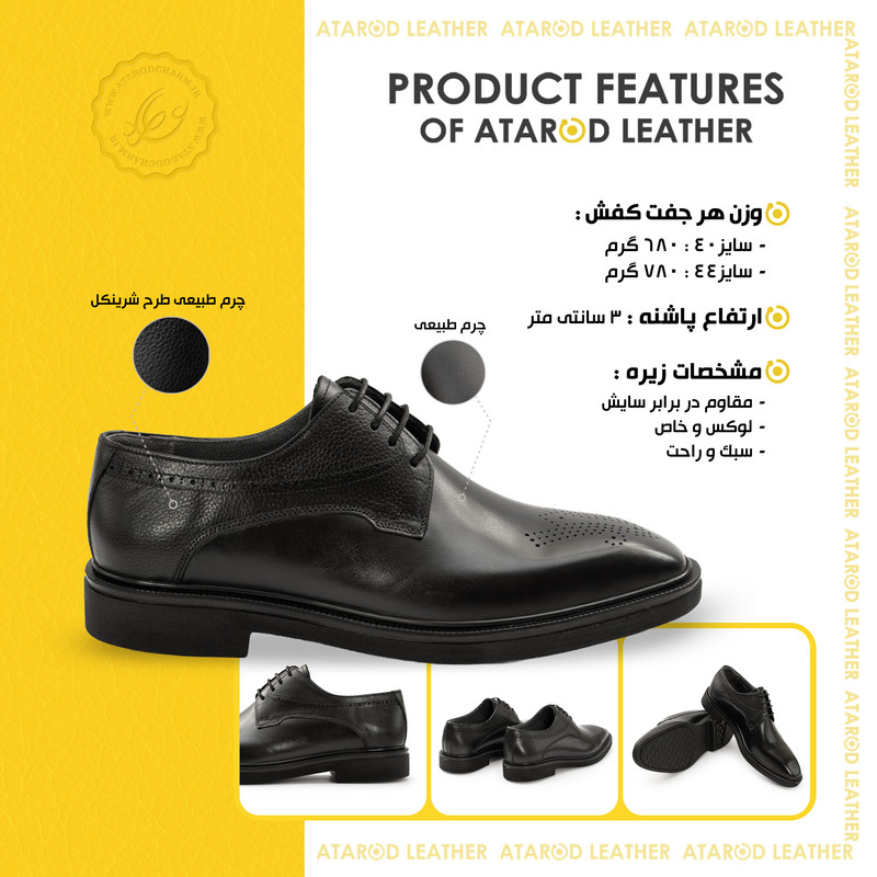 کفش رسمی مردانه چرم عطارد مدل چرم طبیعی کد SH391