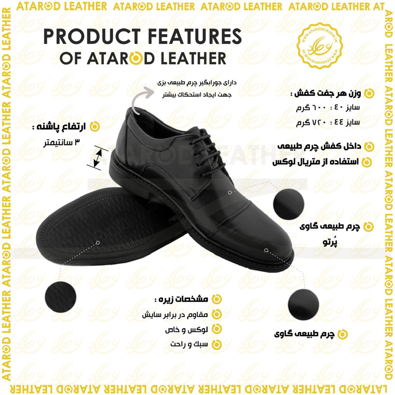 کفش مردانه چرم عطارد مدل چرم طبیعی کد SH289