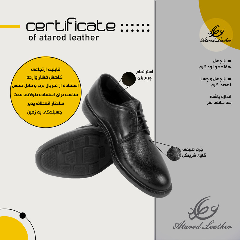 کفش مردانه چرم عطارد مدل چرم طبیعی کد SH194