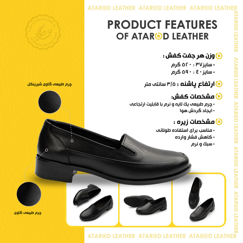 کفش پاشنهدار زنانه چرم عطارد مدل چرم طبیعی کد SH376