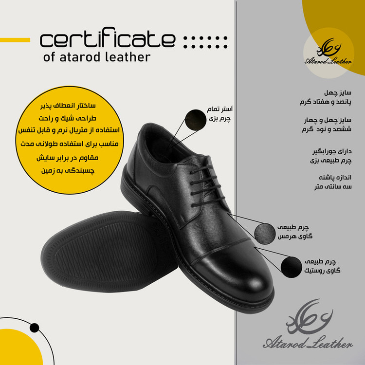 کفش مردانه چرم عطارد مدل چرم طبیعی کد SH191