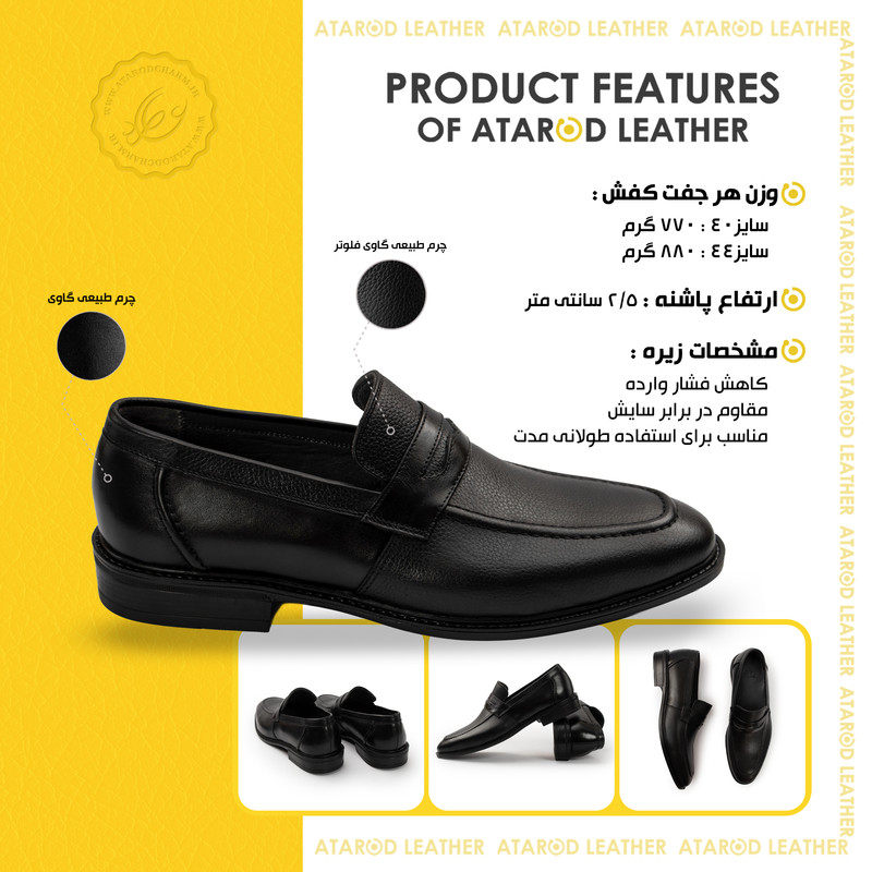کفش رسمی مردانه چرم عطارد مدل چرم طبیعی کد SH365
