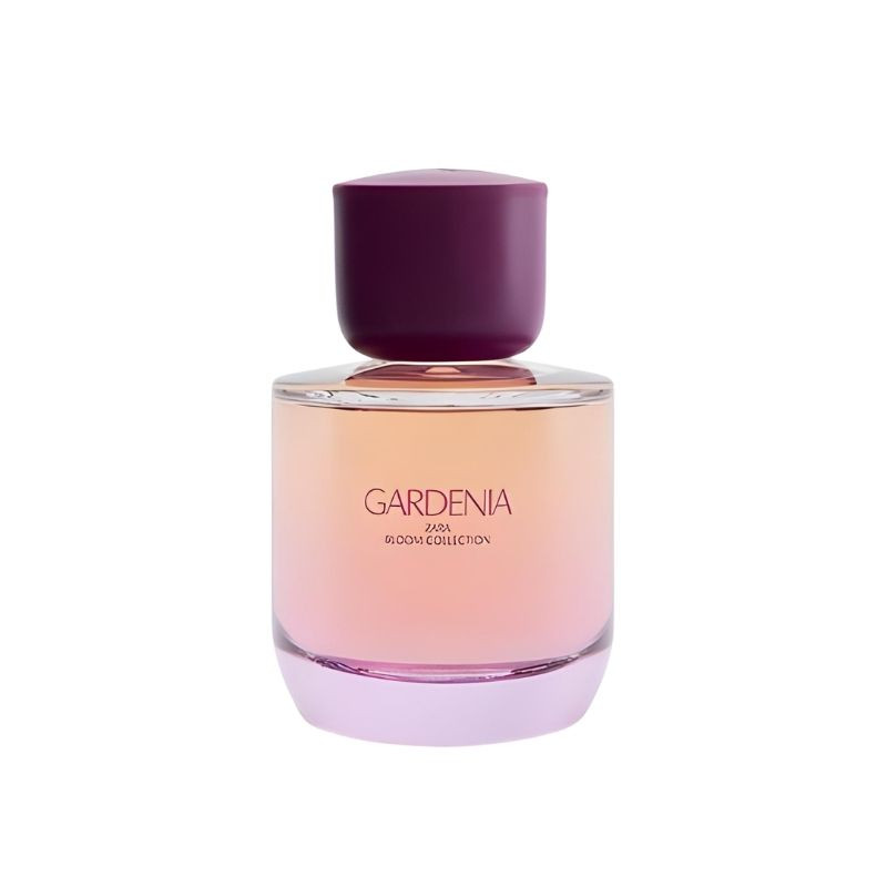 ادوپرفیوم زنانه زارا مدل Gardenia با رایحه گرم حجم 90 میلیلیتر