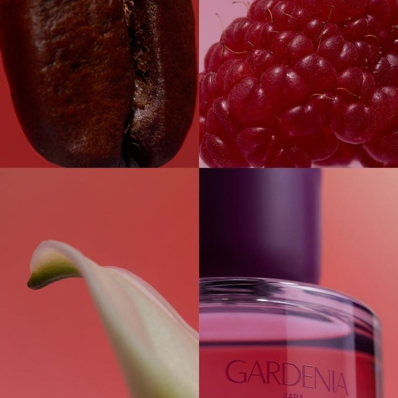 ادوپرفیوم زنانه زارا مدل Gardenia با رایحه گرم حجم 90 میلیلیتر