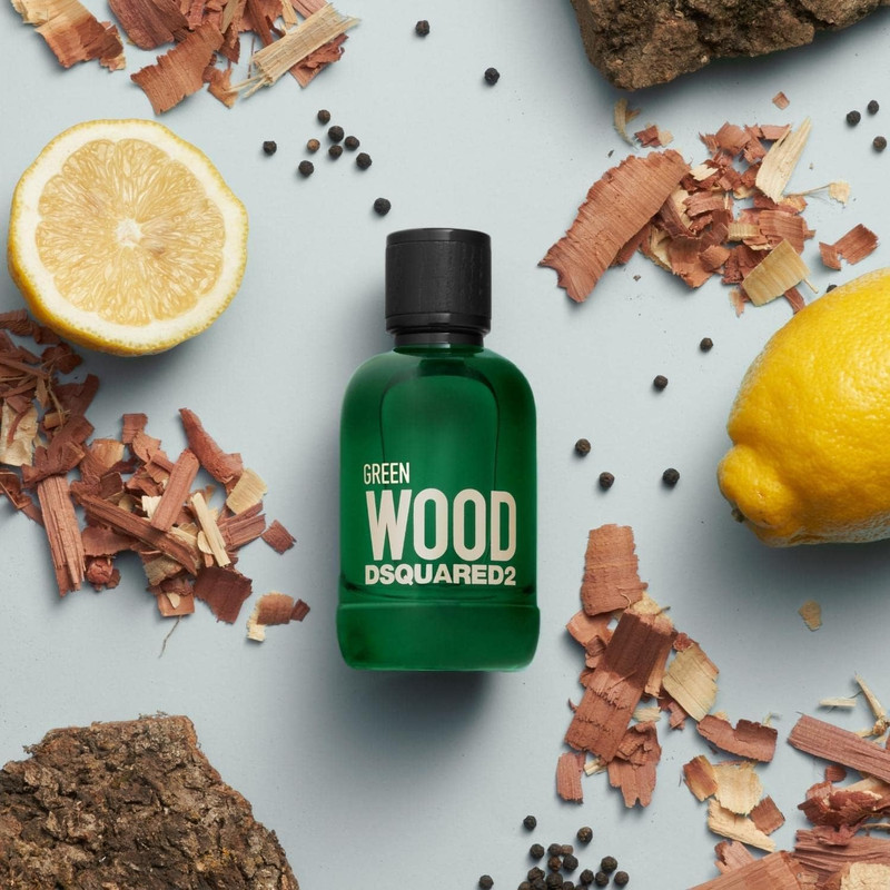 ادو تویلت مردانه دیسکوارد مدل Green Wood حجم 100 میلی لیتر