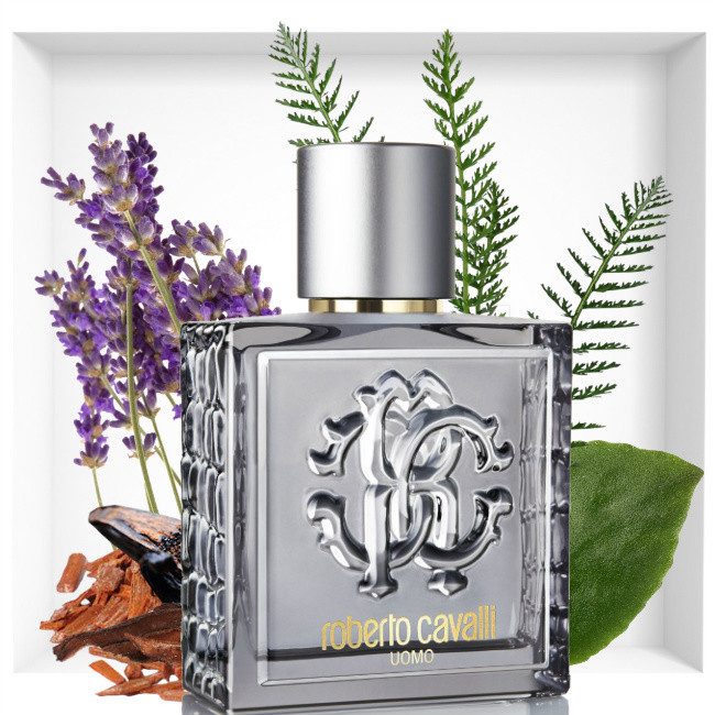ادو تویلت مردانه روبرتو کاوالی مدل Uomo Silver Essence حجم 100 میلی لیتر