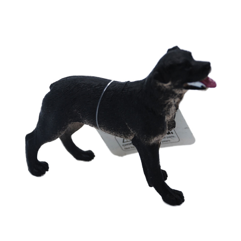 فیگور حیوانات مدل Animal Kingdom جی اف ال کد B10082 مجموعه 12 عددی