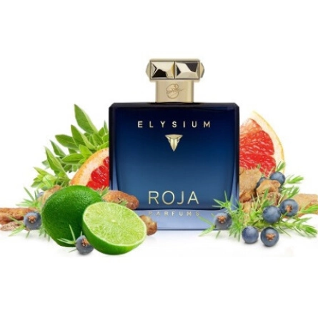 عطر ادکلن روژا داو الیزیوم پور هوم پرفیوم کلون مردانه خنک Roja Dove Elysium Pour Homme Parfum Cologne درجه 1 سوئیس (پس