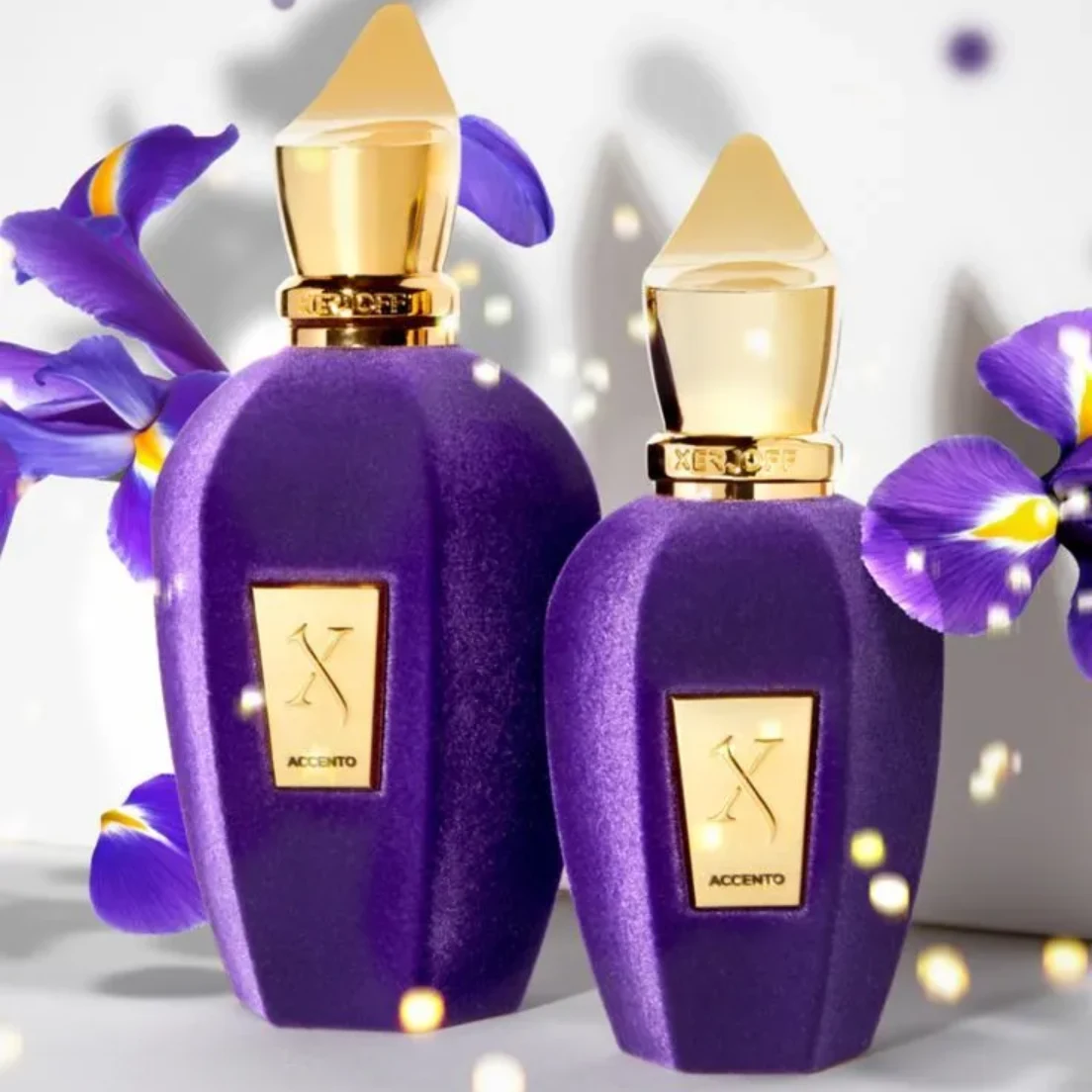 عطر ادکلن زرجف اکسنتو یونیسکس خنک و تلخ -اچنتو-زرجوف اکنتو-Xerjoff Accento درجه 1 سوئیس (پس کرایه)