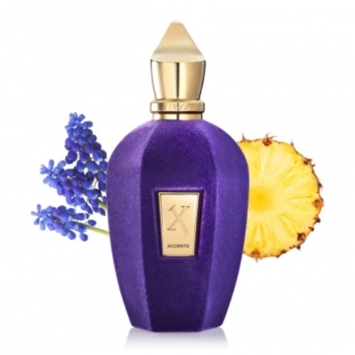 عطر ادکلن زرجف اکسنتو یونیسکس خنک و تلخ -اچنتو-زرجوف اکنتو-Xerjoff Accento درجه 1 سوئیس (پس کرایه)