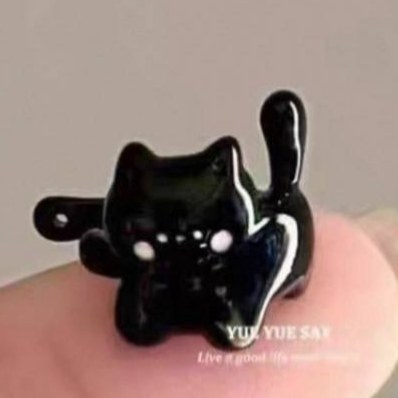 گوشواره استیل مدل فیک گربه رنگ ثابت کد sf (پس کرایه)