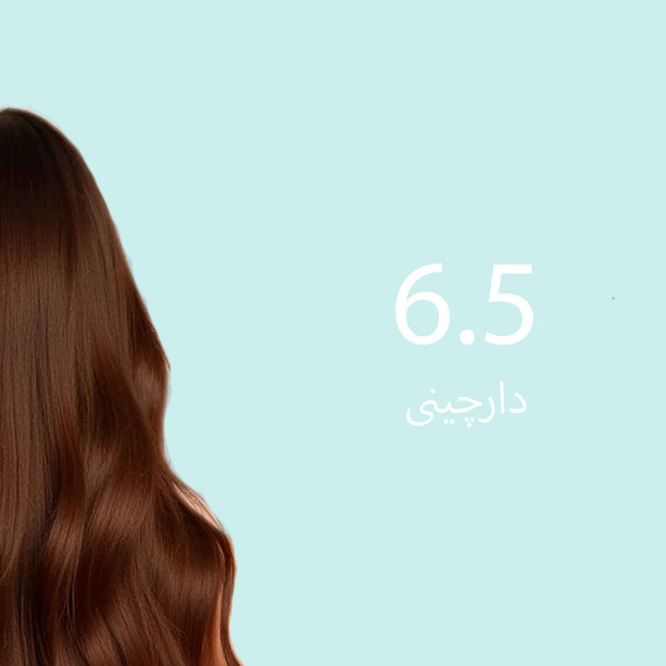شامپو رنگ مو تونیکا مدل 6.5 رنگ دارچینی بدون آمونیاک، مناسب برای رنگآمیزی سریع و سالم موهای روشن حجم 150 میلیلیتر