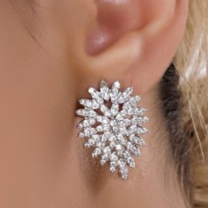 گوشواره جواهری نگین کاری در دو مدل زیبا رنگ کاملا ثابت کد mp (پس کرایه)