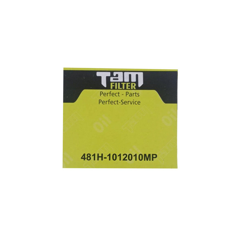 فیلتر روغن تام مدل TW920/X1 مناسب برای ام وی ام X33