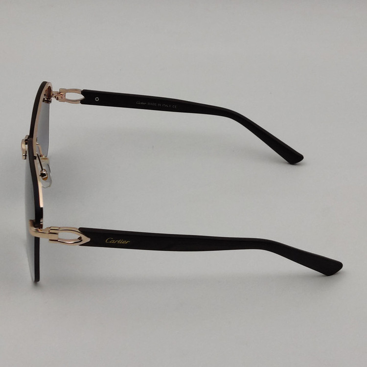 عینک آفتابی مدل CT0276