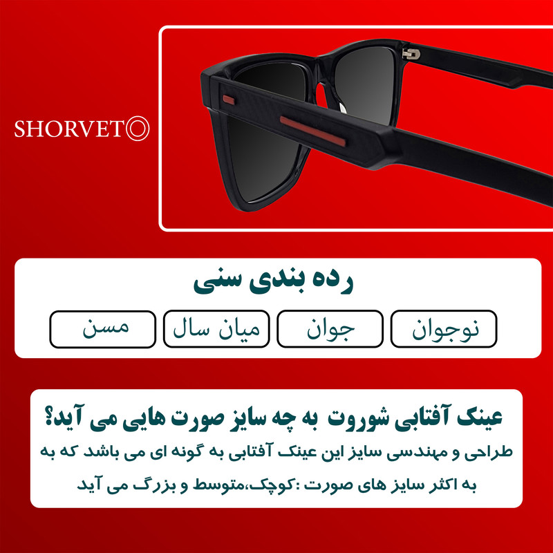 عینک آفتابی مردانه شوروت مدل BC9105