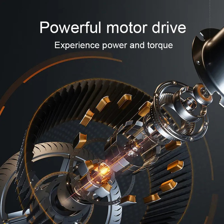 ماساژور برقی پرو مدل SL-821