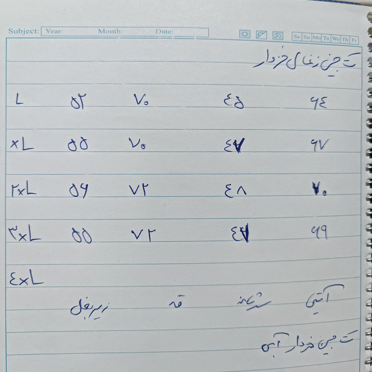 کت لی خزدار مردانه تمام کش