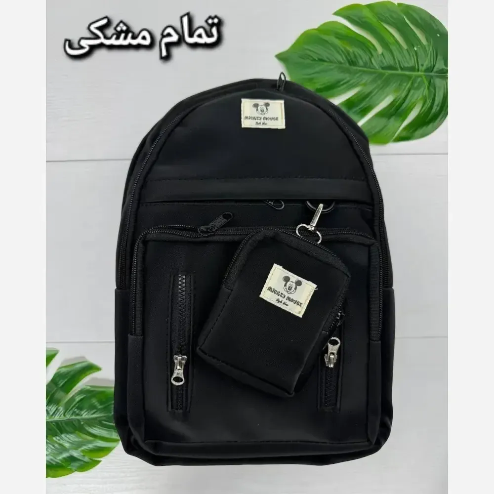 کوله پشتی مدل زرین جنس دیبا ضد آب دارای 3 زیپ و جای قمقمه ابعاد 40 در 28 سانتیمتر